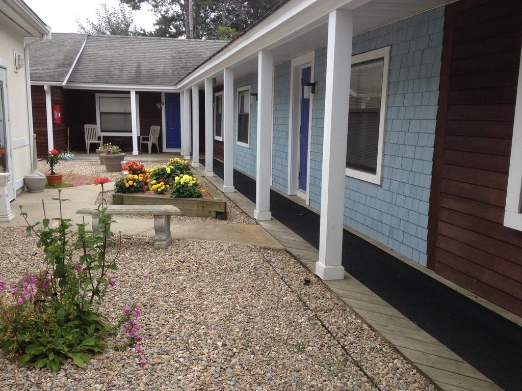 מלון דניס פורט The Club At Cape Cod מראה חיצוני תמונה